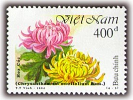 Colnect-1656-551-Chrysanthemum-morifolium.jpg
