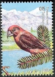 Colnect-1735-177-Red-Crossbill-Loxia-curvirostra.jpg