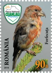 Colnect-3582-246-Red-crossbill-Loxia-curvirostra.jpg