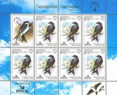Colnect-1058-296-Common-House-Martin-Delichon-urbica.jpg