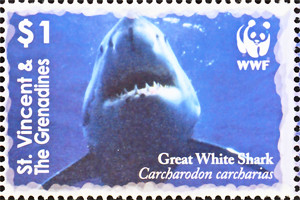 Colnect-1748-180-Great-White-Shark-Carcharodon-carcharias.jpg
