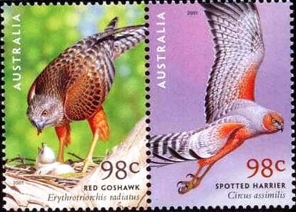 Colnect-2653-738-Red-Goshawk-Spotted-Harrier.jpg