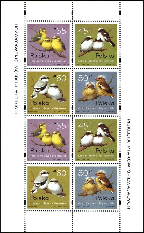 Colnect-1914-498-Songbird-Chicks-.jpg