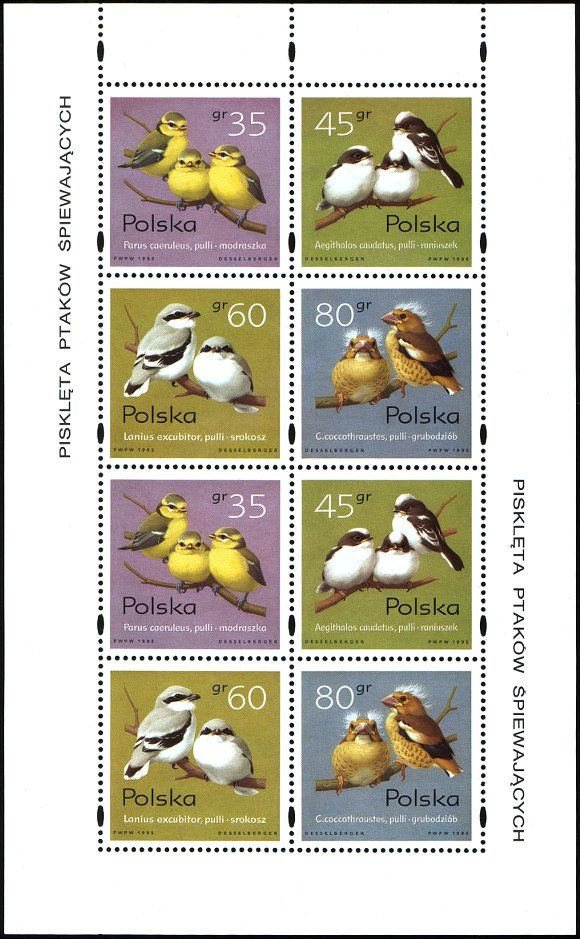 Colnect-4829-853-Songbird-Chicks.jpg