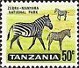 Colnect-1069-057-Zebra-Equus-sp-in-Manyara-National-Park.jpg