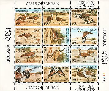Colnect-1463-292-Houbara-Bustard-Chlamydotis-undulata.jpg