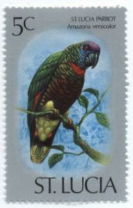 Colnect-945-400-St-Lucia-parrot.jpg