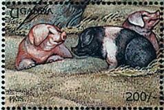Colnect-1714-650-Pig-Sus-scrofa-domestica.jpg