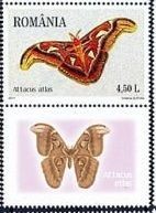 Colnect-1396-755-Atlas-Moth-Attacus-atlas.jpg