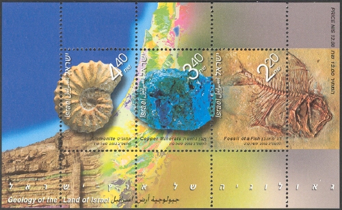 IL029MS.02.jpg