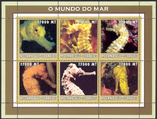 MZ497MS.02.jpg