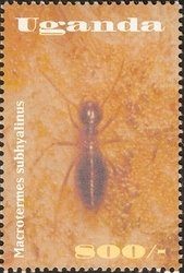 Colnect-1714-444-Mendi-Termite-Macrotermes-subhyalinus.jpg
