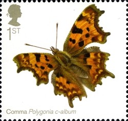Colnect-1893-241-Comma-Butterfly-Polygonia-c-album.jpg