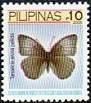 Colnect-2882-544-Nymphalid-Butterfly-Tanaecia-aruna-pallida.jpg