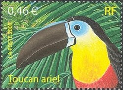 Colnect-564-326-Channel-billed-Toucan-Ramphastos-vitellinus-.jpg