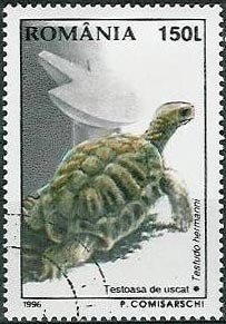 Colnect-754-861-Hermann-s-Tortoise-Testudo-hermanni.jpg