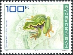 Colnect-502-086-Common-Tree-Frog-Hyla-arborea.jpg