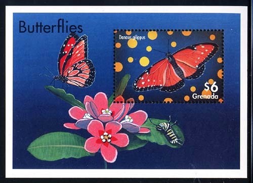 Colnect-2176-017-Queen-Butterfly-Danaus-gilippus.jpg