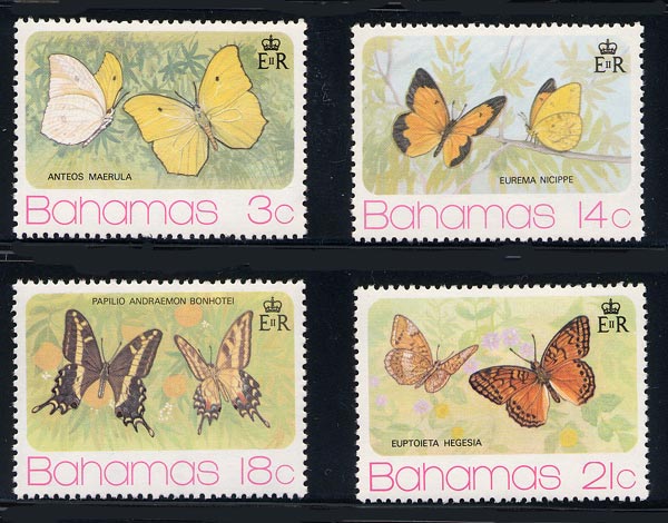 Skap-bahamas_01_butterflies_370-73.jpg