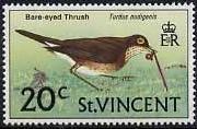 Colnect-1351-816-Turdus-nudigenis.jpg