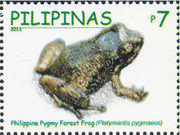 Colnect-2853-244-Pygmy-Forest-Frog-Platymantis-pygmaea.jpg