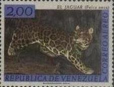 Colnect-530-438-Jaguar-Panthera-onca.jpg