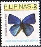 Colnect-2875-840-Anthelus-Bushblue-Arhopala-anthelus-ssp-impar.jpg