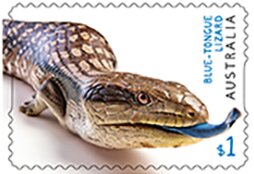 Colnect-5639-763-Blue-Tongued-Lizard.jpg
