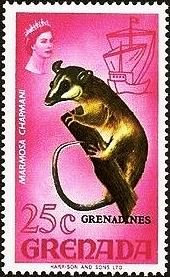 Colnect-4292-448-Mouse-Opossum-Marmosa-sp---Overprinted.jpg