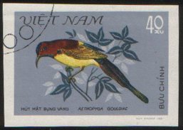 Colnect-3821-043-Gould-s-Sunbird-Aethopyga-gouldiae.jpg