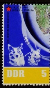Colnect-306-433-Space-Dog--quot-Belka-and-Strelka-quot-.jpg