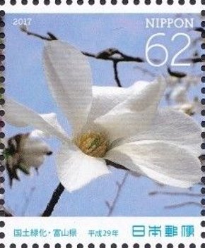 Colnect-4118-961-Thurber--s-magnolia.jpg