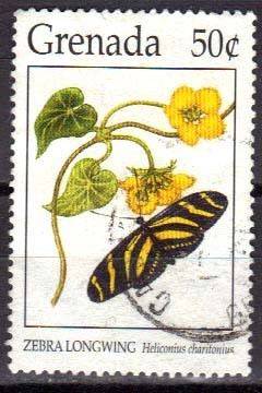 Colnect-771-146-Zebra-Longwing-Butterfly-Heliconius-charitonius.jpg