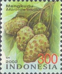 Colnect-1143-456-Mengkudu---Morinda-citrifolia.jpg
