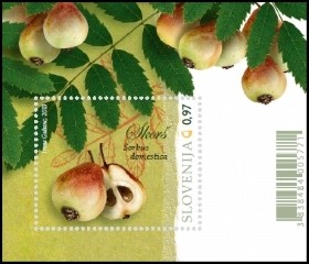 Colnect-1570-211-Fruit-varieties-in-Slovenia.jpg