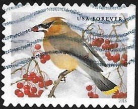 Colnect-3483-616-Cedar-Waxwing-Bombycilla-cedrorum.jpg