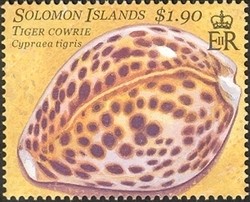 Tiger-Cowrie-Cypraea-tigris.jpg