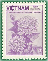 Colnect-1628-874-Chrysanthemum-sinense.jpg