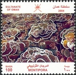 Colnect-1541-203-Stony-Coral-Montipora-sp.jpg