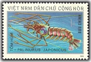 Colnect-1625-669-Japanese-Spiny-Lobster-Palinurus-japonicus.jpg