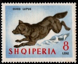 Colnect-2591-354-Gray-Wolf-Canis-lupus.jpg