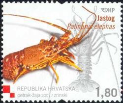 Colnect-389-982-European-Spiny-Lobster-Palinurus-elephas.jpg