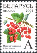 BY014.04.jpg
