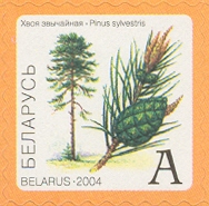 BY020.04.jpg