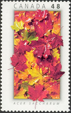 CA049.03.jpg