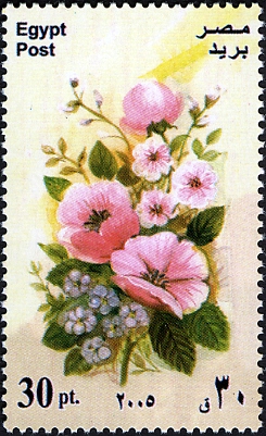EG032.05.jpg
