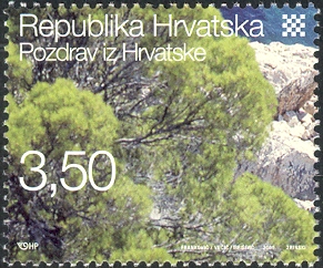 HR022.05.jpg