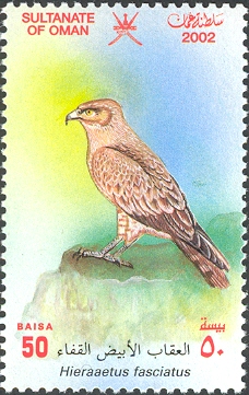 OM016.02.jpg