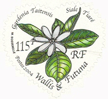 WF018.04.jpg