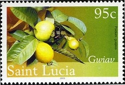 Colnect-1712-698-Guava.jpg